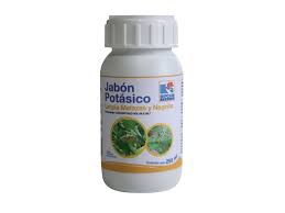 INSECTICIDAS,ECOLOGICOS,JABON POTASICO,SIPCAM